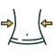 ikona